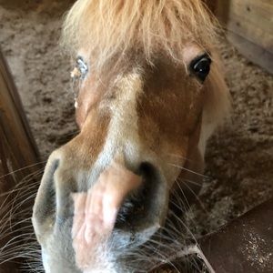 Meet your Posher, Julianna